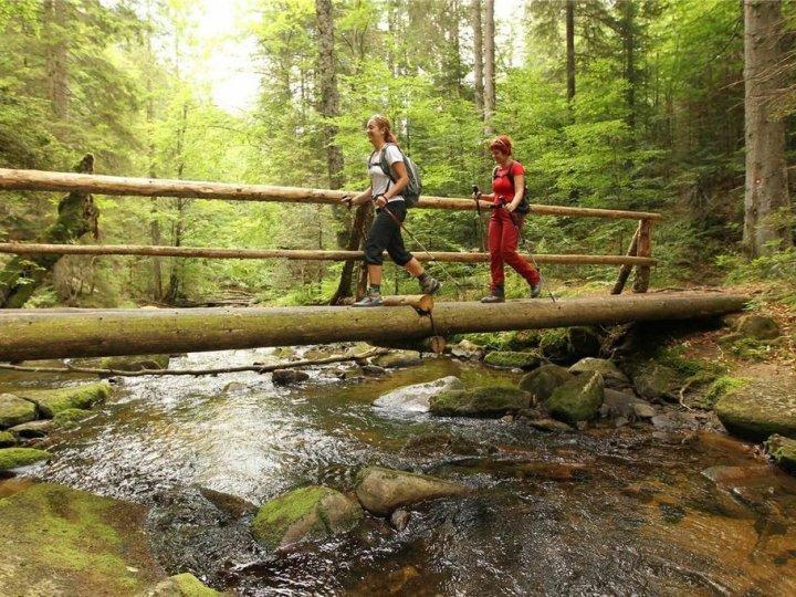 Bolfenk B6 Daire Hočko Pohorje Dış mekan fotoğraf