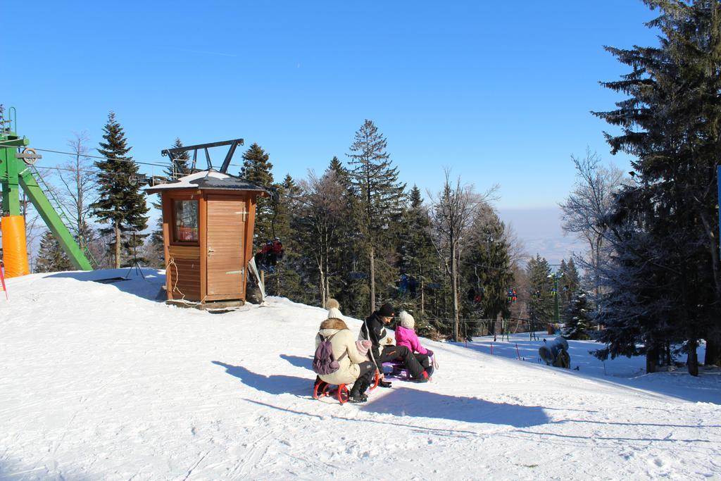 Bolfenk B6 Daire Hočko Pohorje Dış mekan fotoğraf